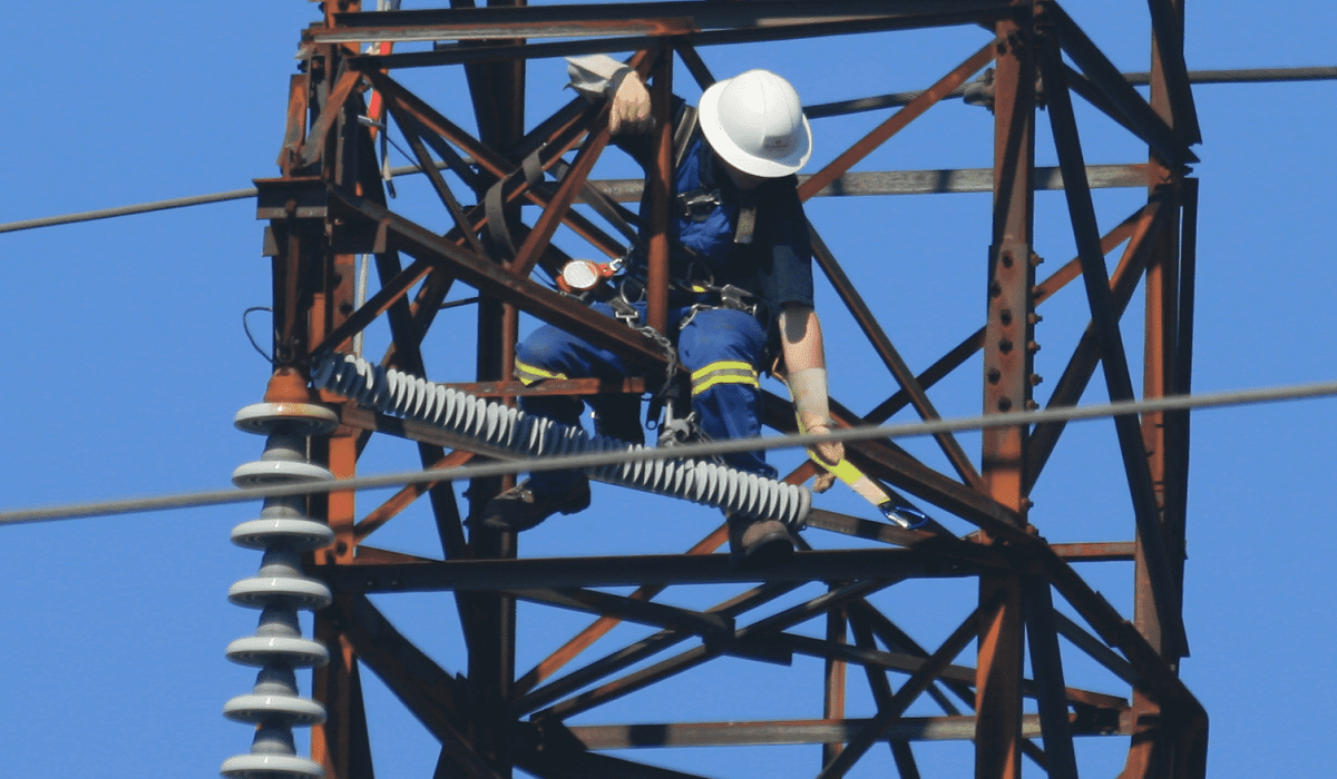 Lightning Arrestor